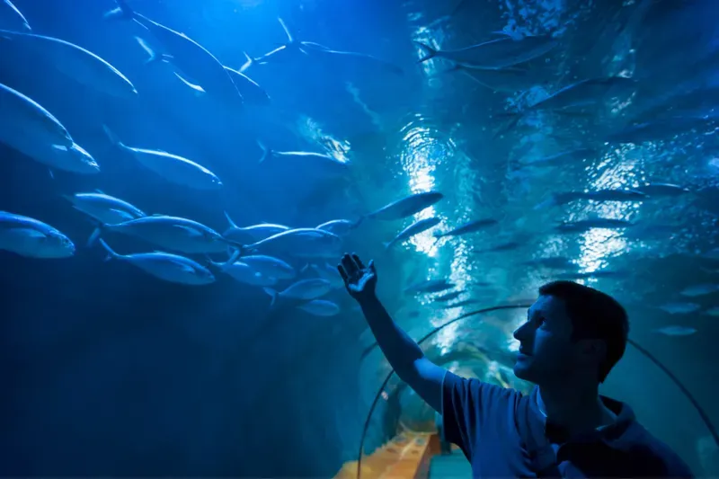 California Academy of Sciences