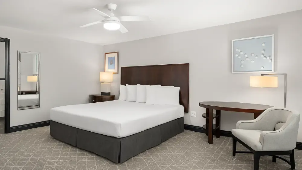 Deluxe King Room, Accessible, view 3