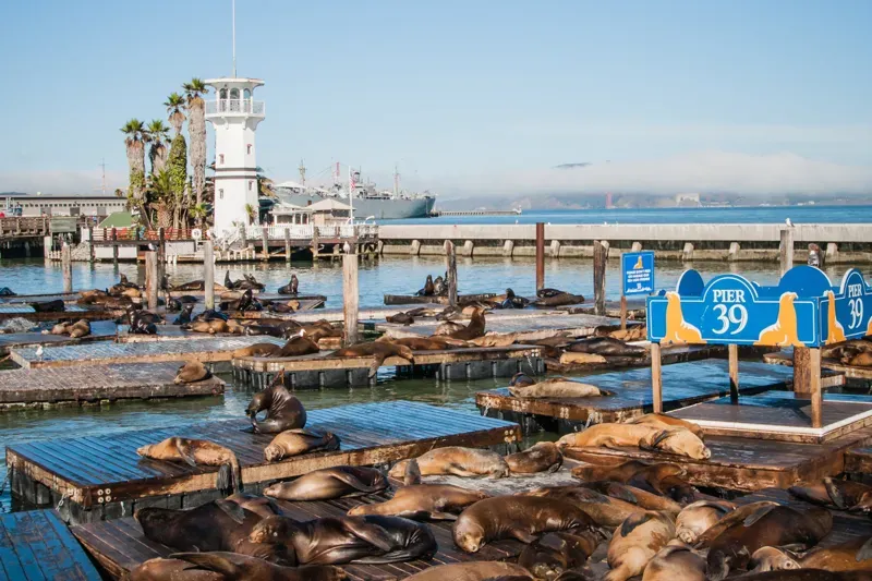 Fisherman's Wharf and Pier 39